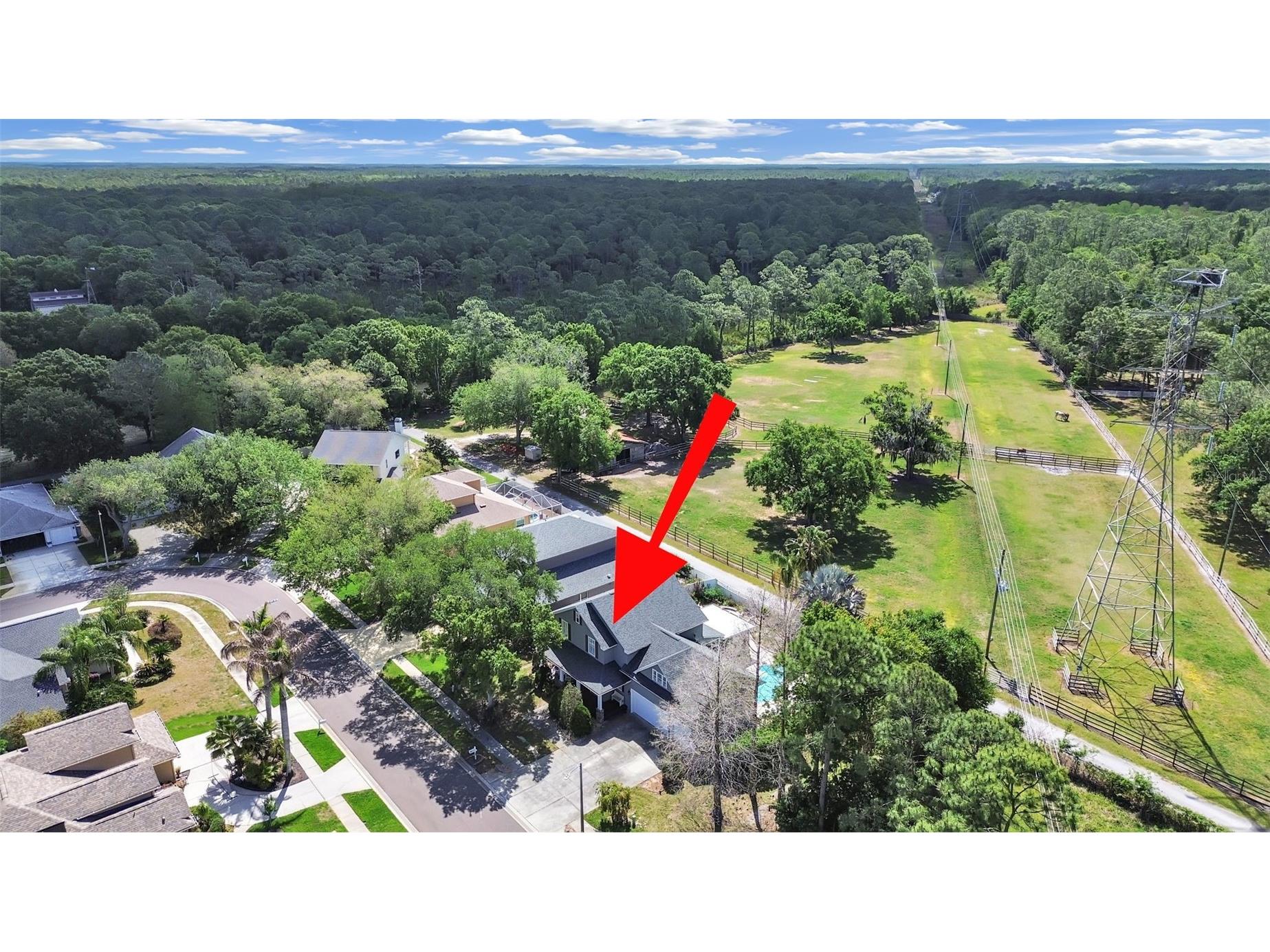 1083 Misty Hollow Lane Tarpon Springs FL 34688 TB8494023 image45