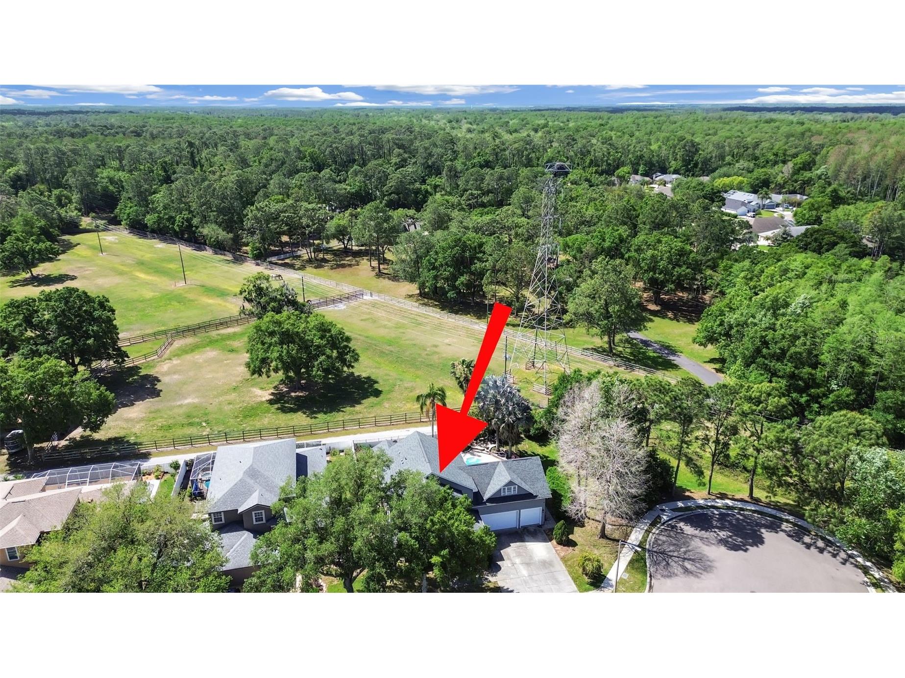 1083 Misty Hollow Lane Tarpon Springs FL 34688 TB8494023 image49