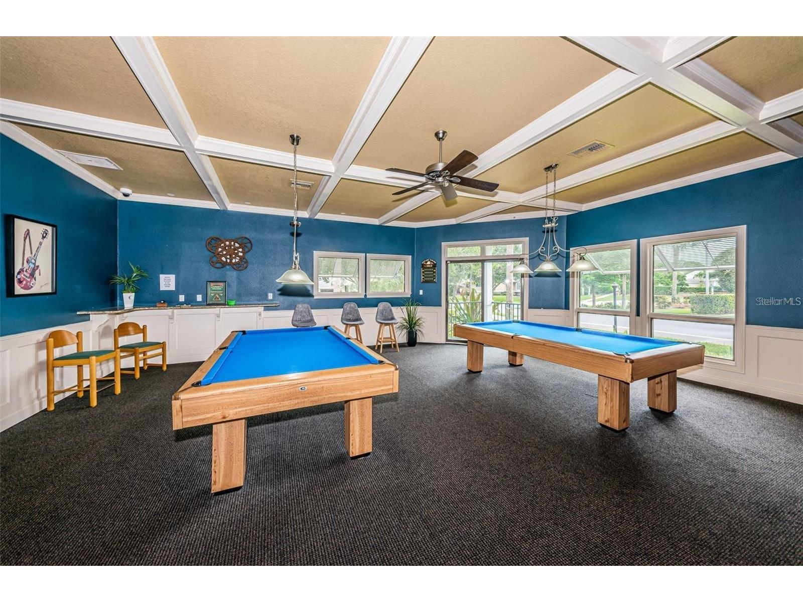 1083 S Pointe Alexis Drive Tarpon Springs FL 34689 TB8462983 image54