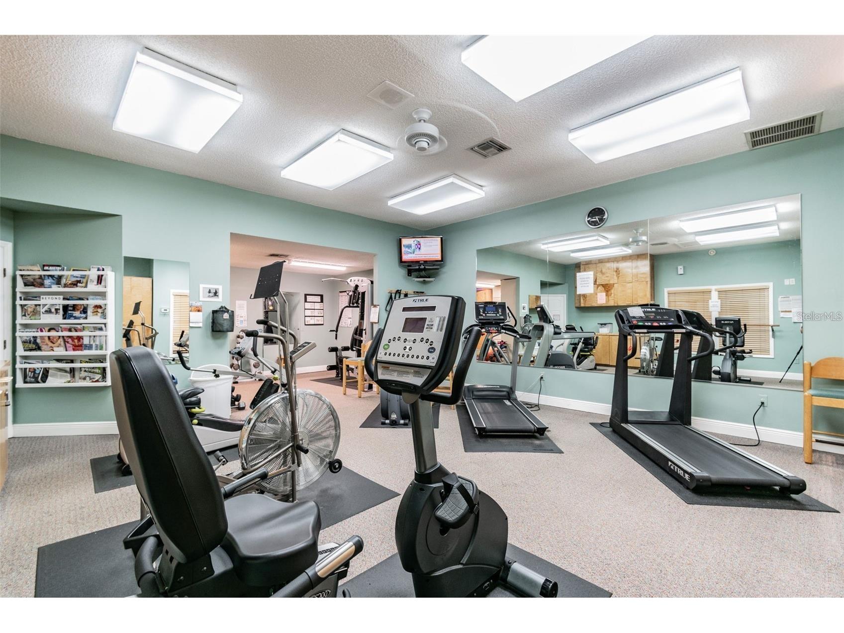 1083 S Pointe Alexis Drive Tarpon Springs FL 34689 TB8462983 image57