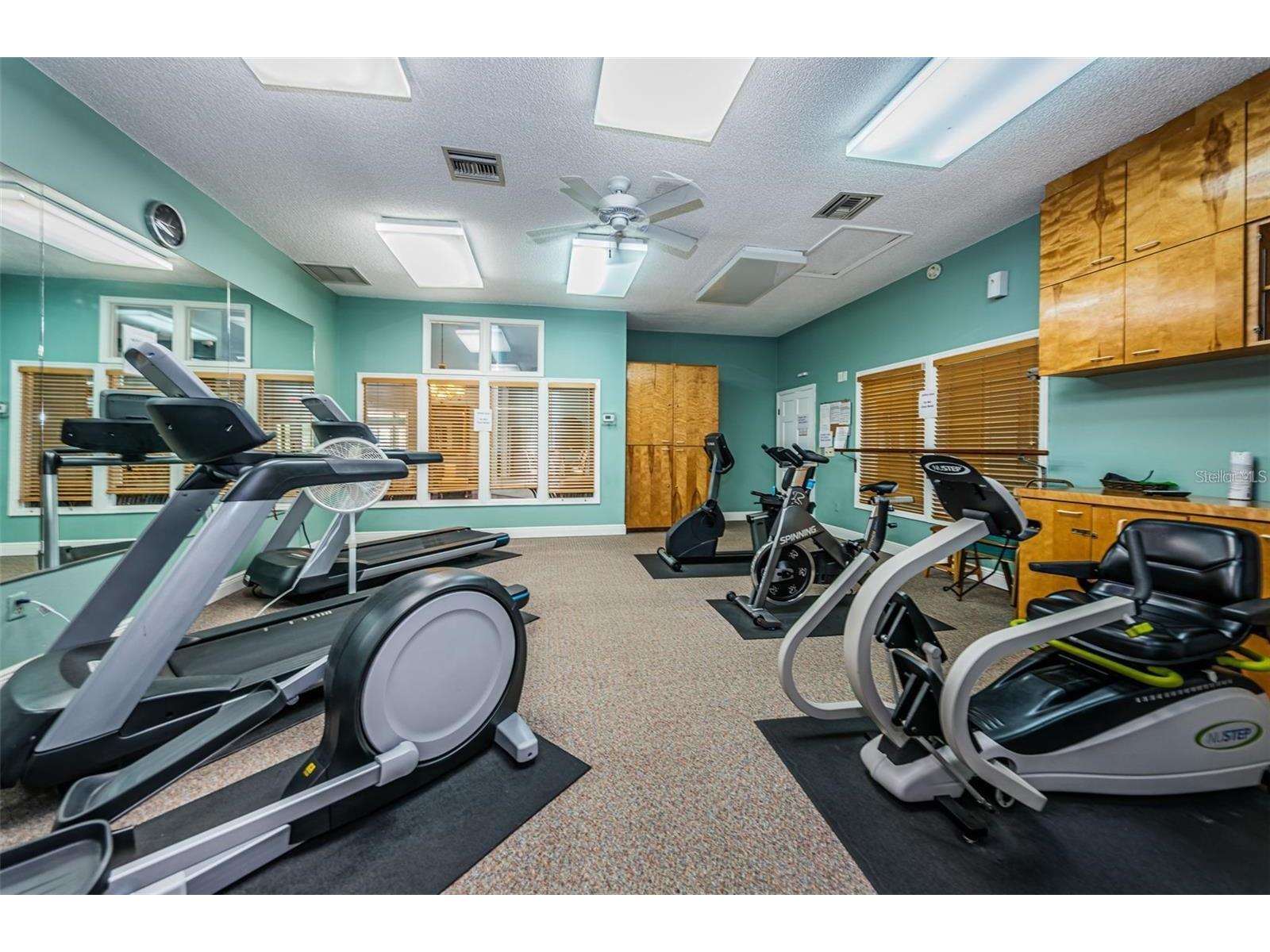 1083 S Pointe Alexis Drive Tarpon Springs FL 34689 TB8462983 image69