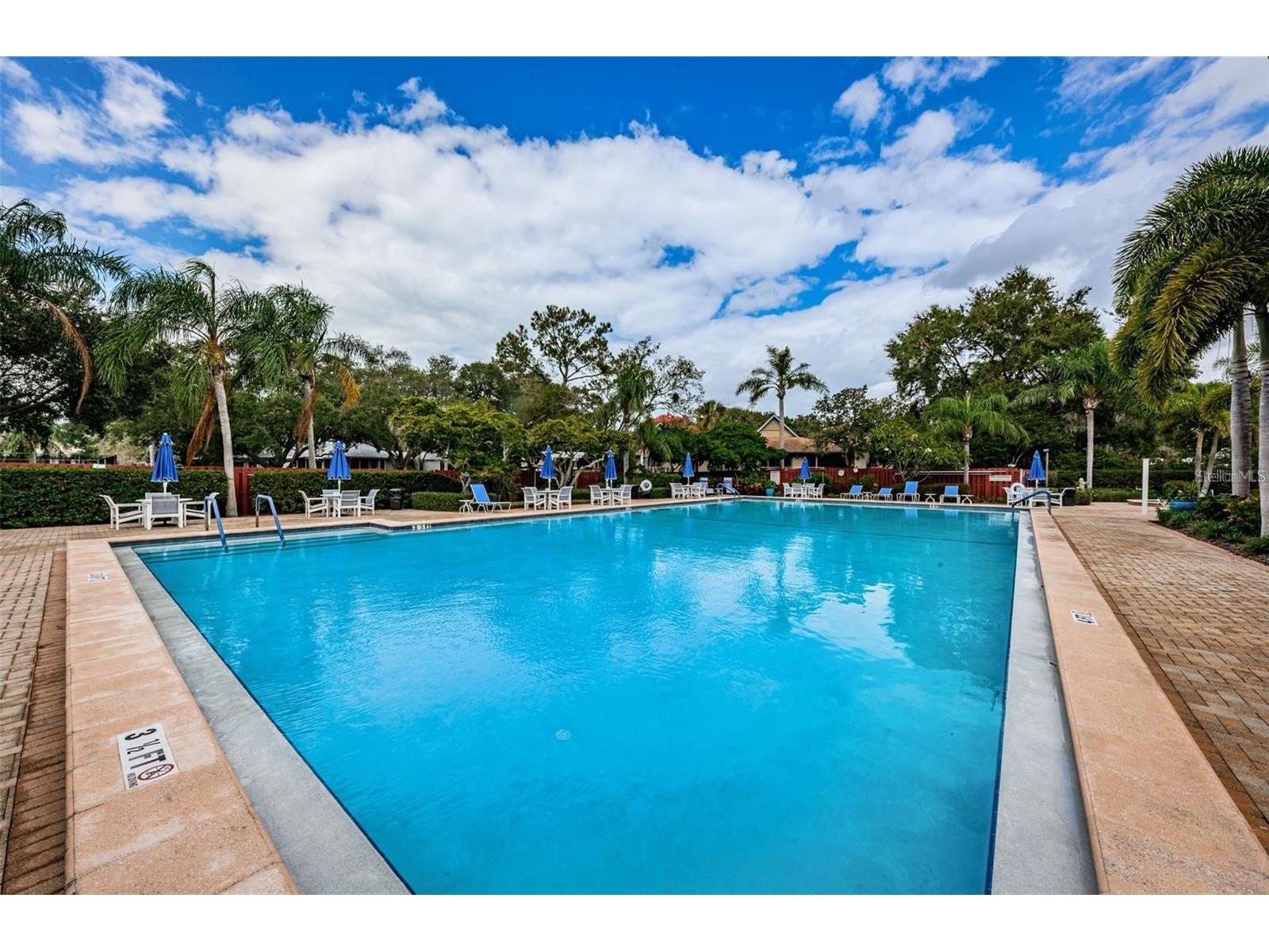 1083 S Pointe Alexis Drive Tarpon Springs FL 34689 TB8462983 image7