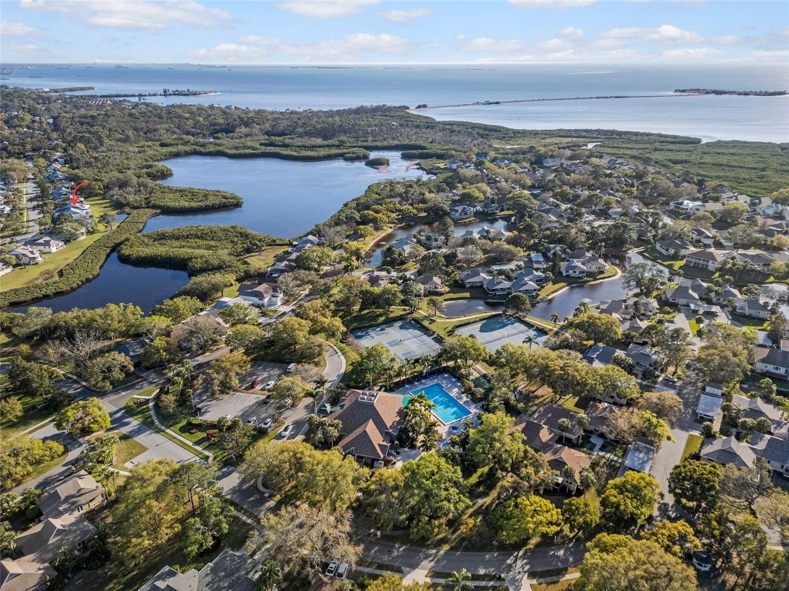 1083 S Pointe Alexis Drive Tarpon Springs FL 34689 TB8462983 image70