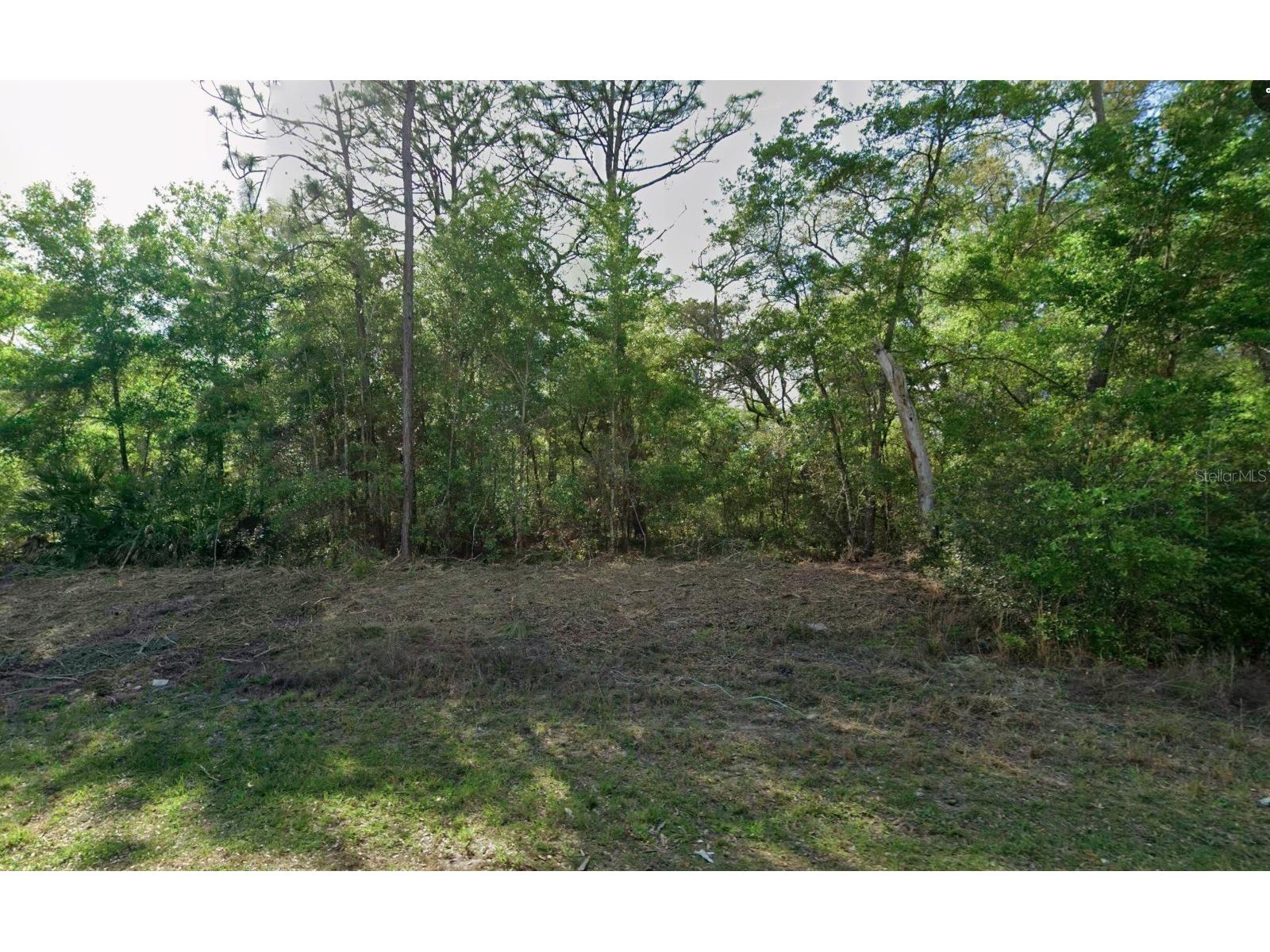 10830 N Hatari Drive Citrus Springs FL 34434 O6423361 image1