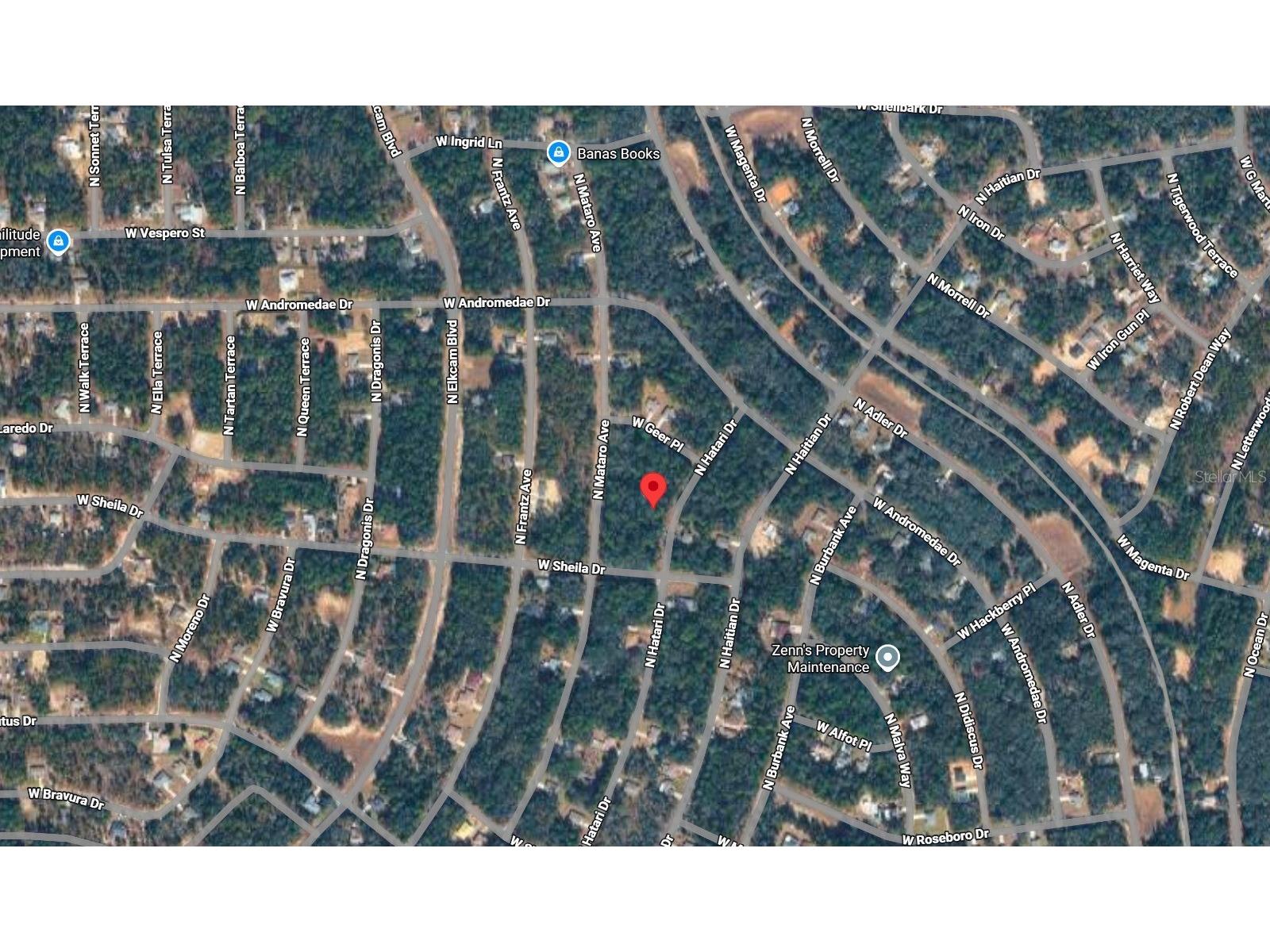 10830 N Hatari Drive Citrus Springs FL 34434 O6423361 image2