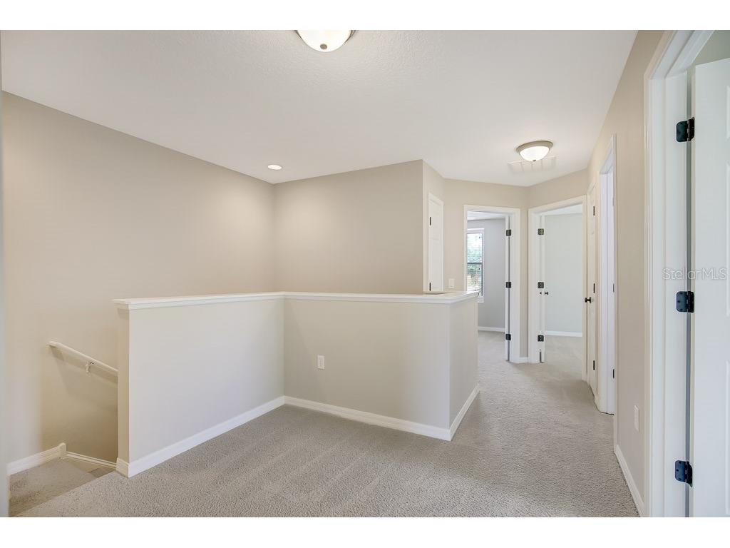 10831 Johanna Avenue Riverview FL 33578 TB8495766 image14