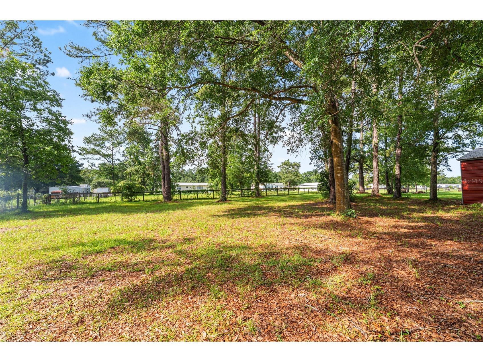 10831 NW 10th Place Ocala FL 34482 OM725972 image58