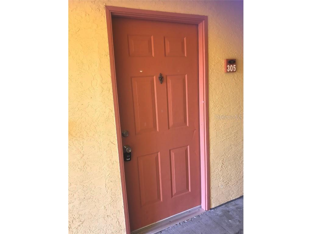 10831 Windsor Walk Drive #1305 Orlando FL 32837 S5139711 image3