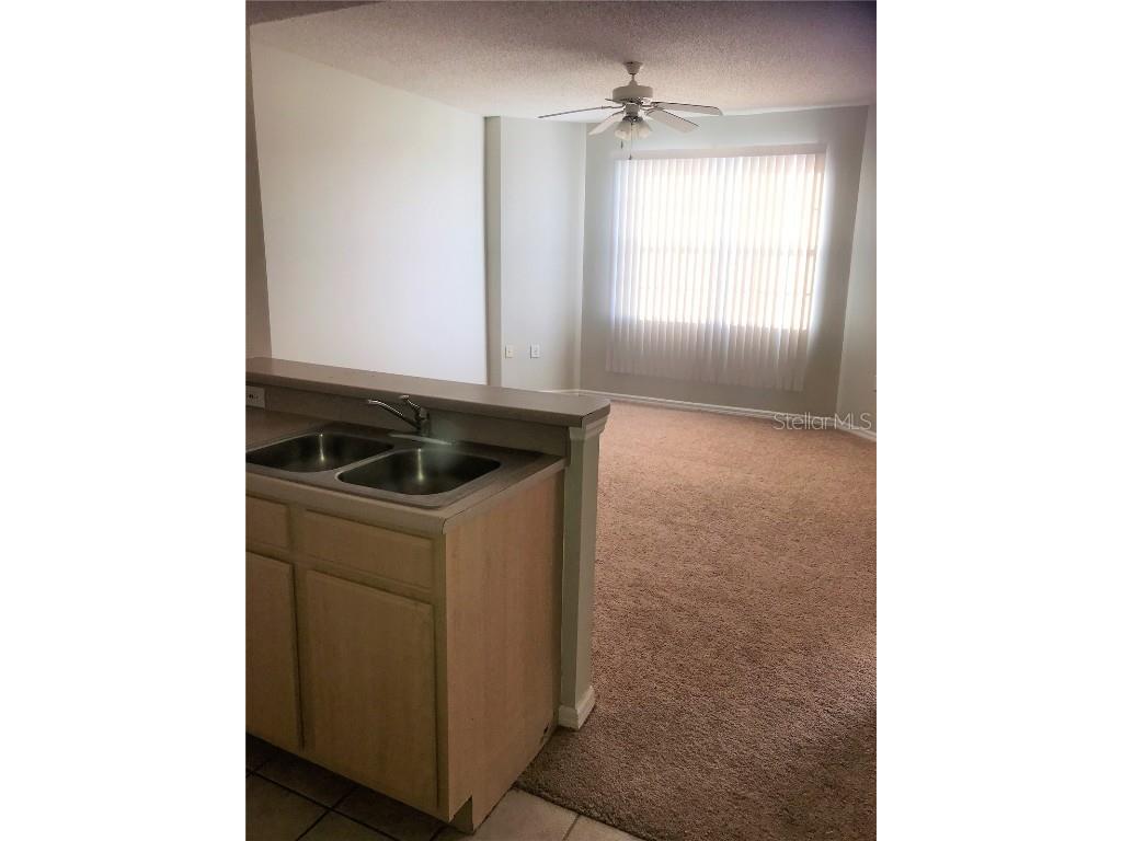 10831 Windsor Walk Drive #1305 Orlando FL 32837 S5139711 image6