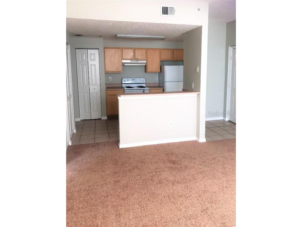 10831 Windsor Walk Drive #1305 Orlando FL 32837 S5139711 image7