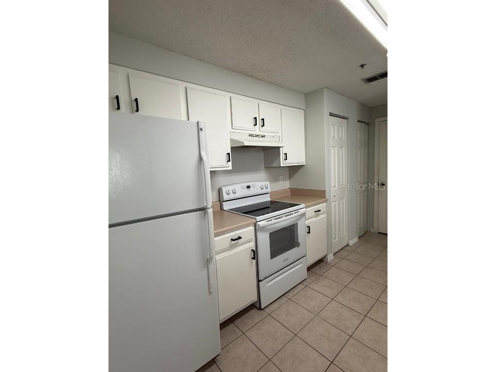 10831 Windsor Walk Drive #311 Orlando FL 32837 S5128984 image5