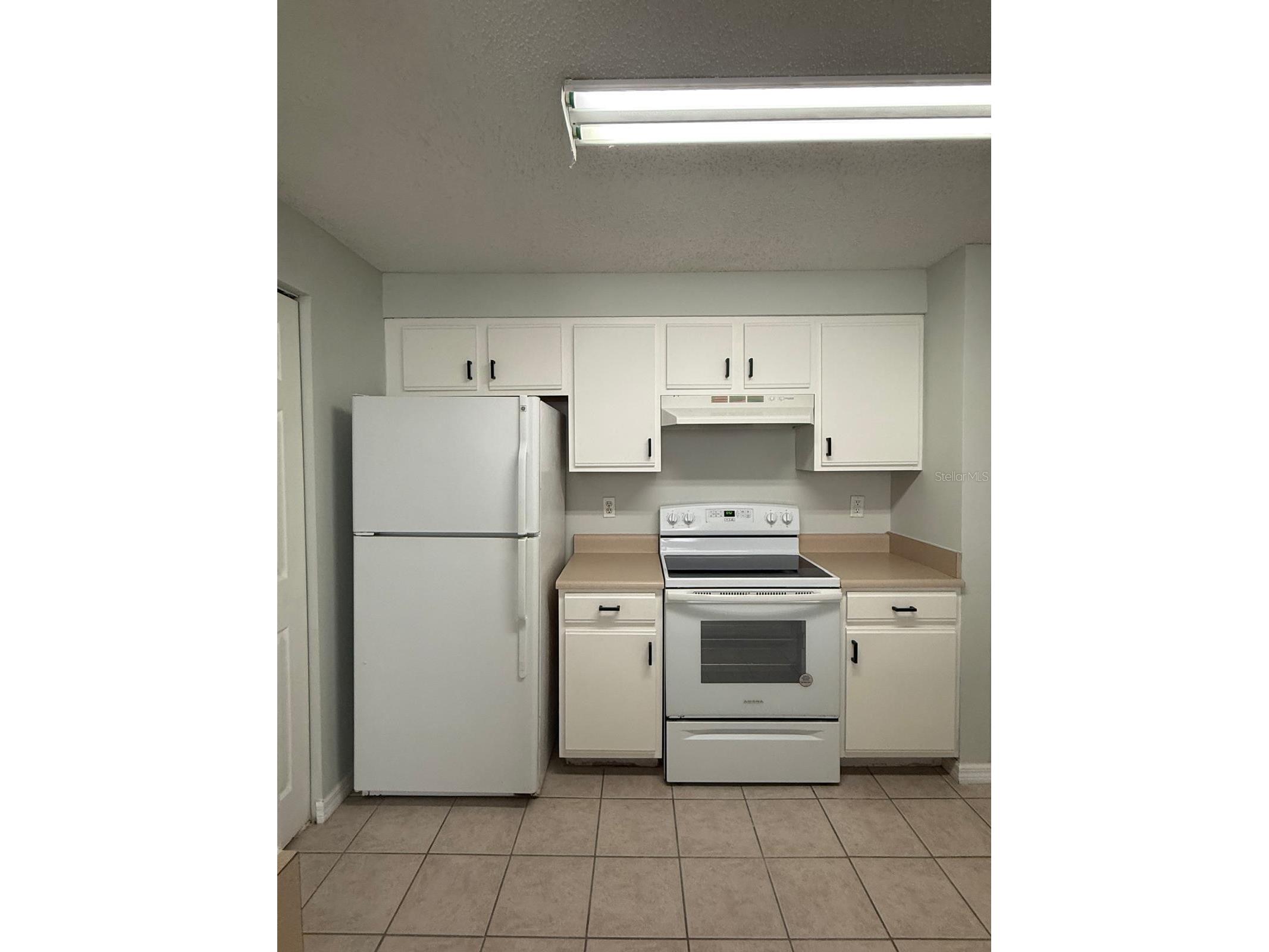 10831 Windsor Walk Drive #311 Orlando FL 32837 S5147389 image5