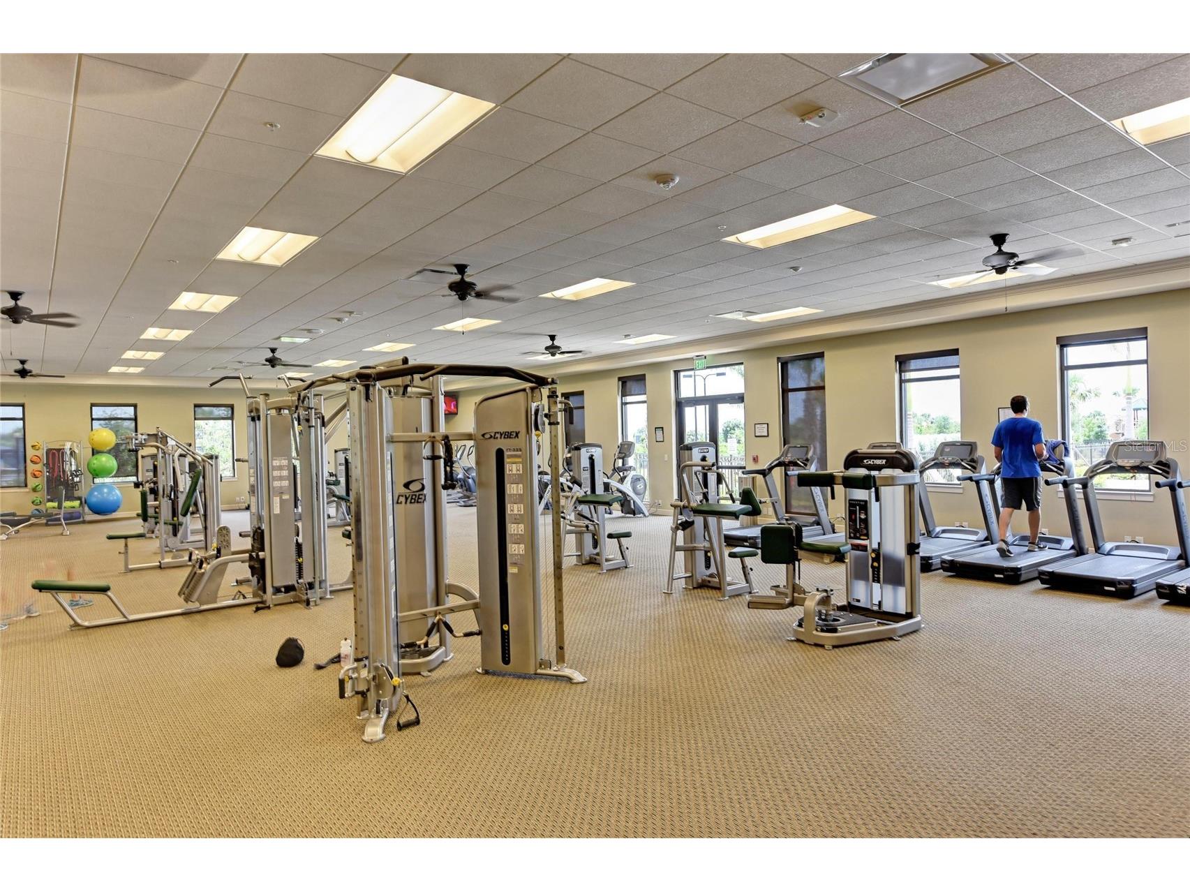 10832 Whisk Fern Drive Venice FL 34293 A4687882 image85