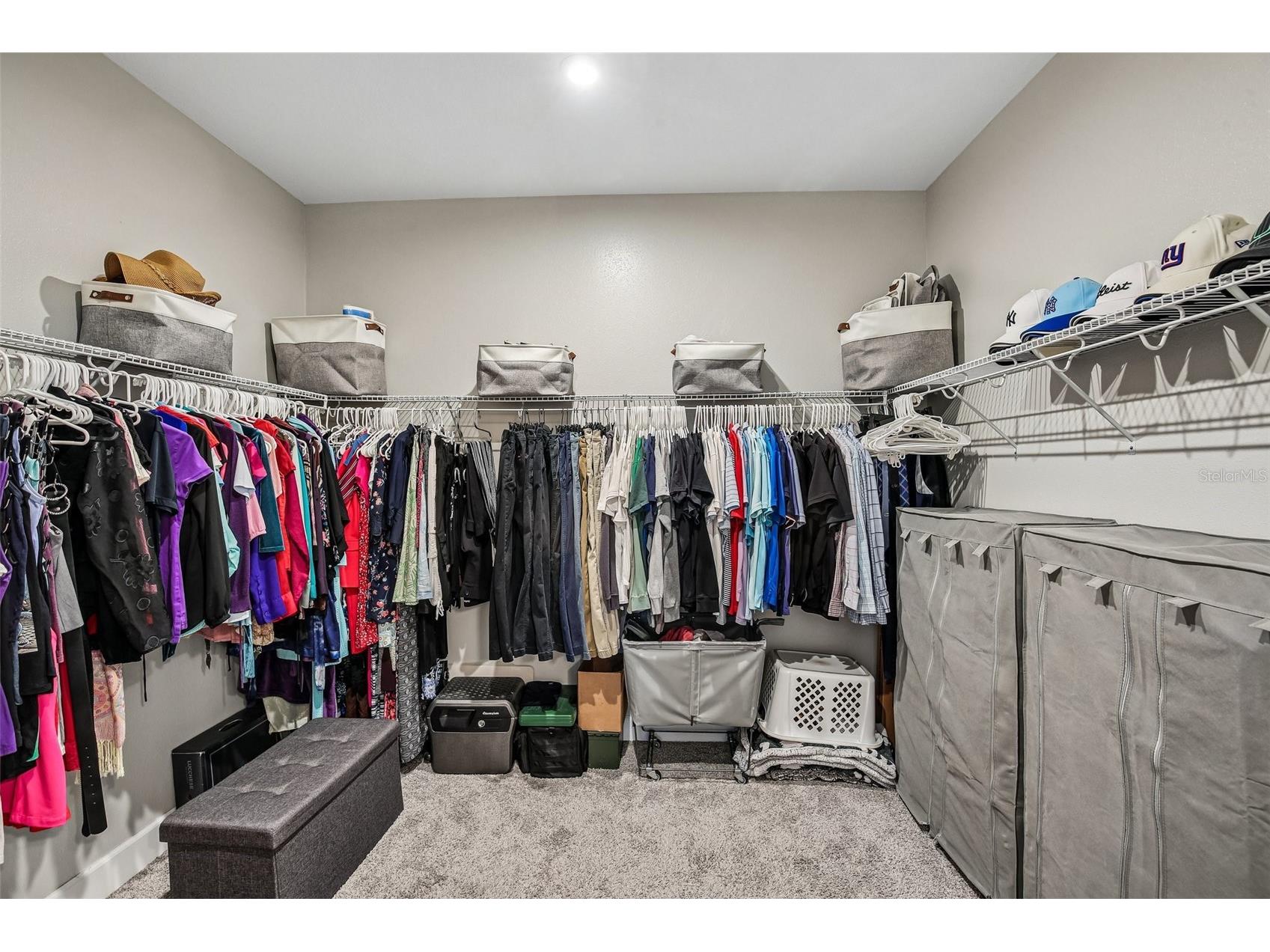 10834 Calluna Drive Odessa FL 33556 TB8502100 image19