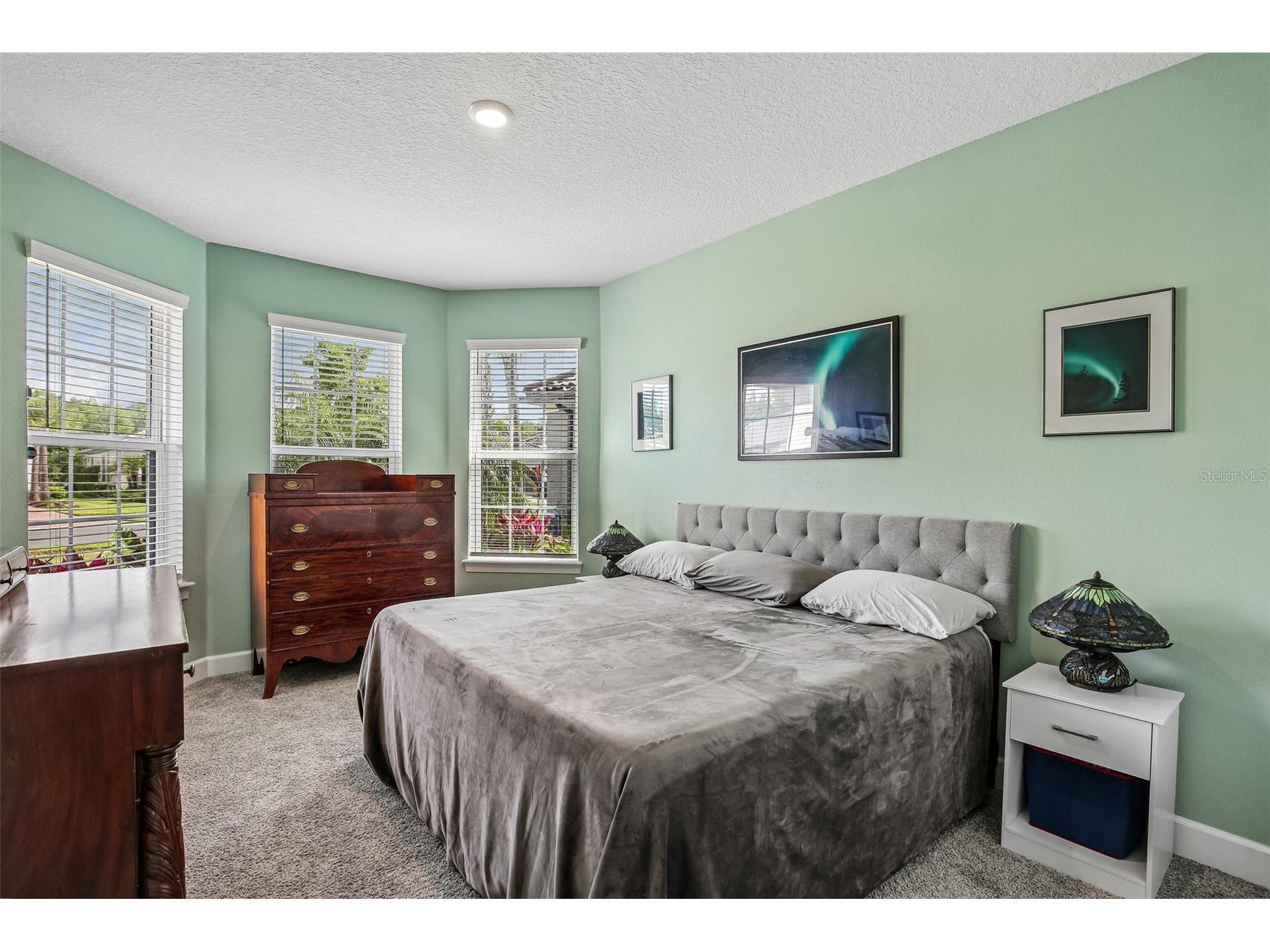 10834 Calluna Drive Odessa FL 33556 TB8502100 image20