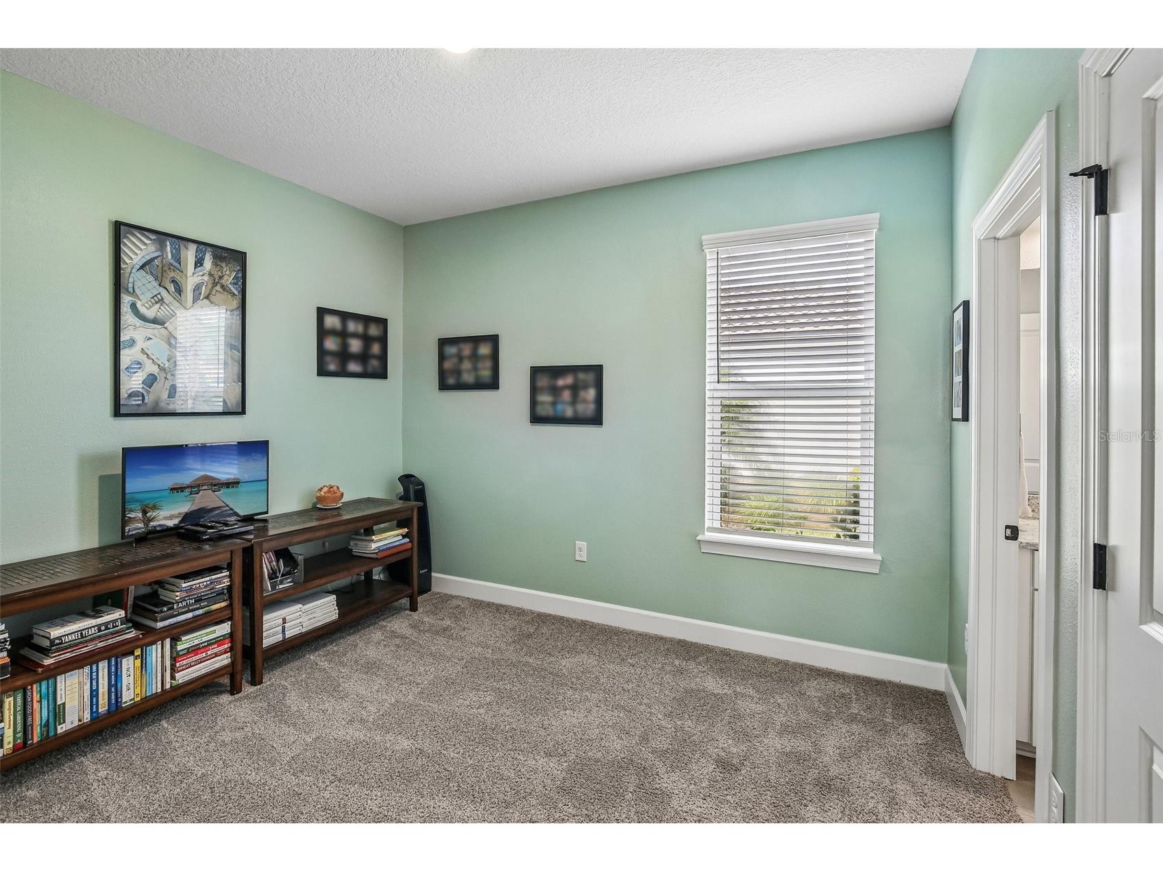10834 Calluna Drive Odessa FL 33556 TB8502100 image25
