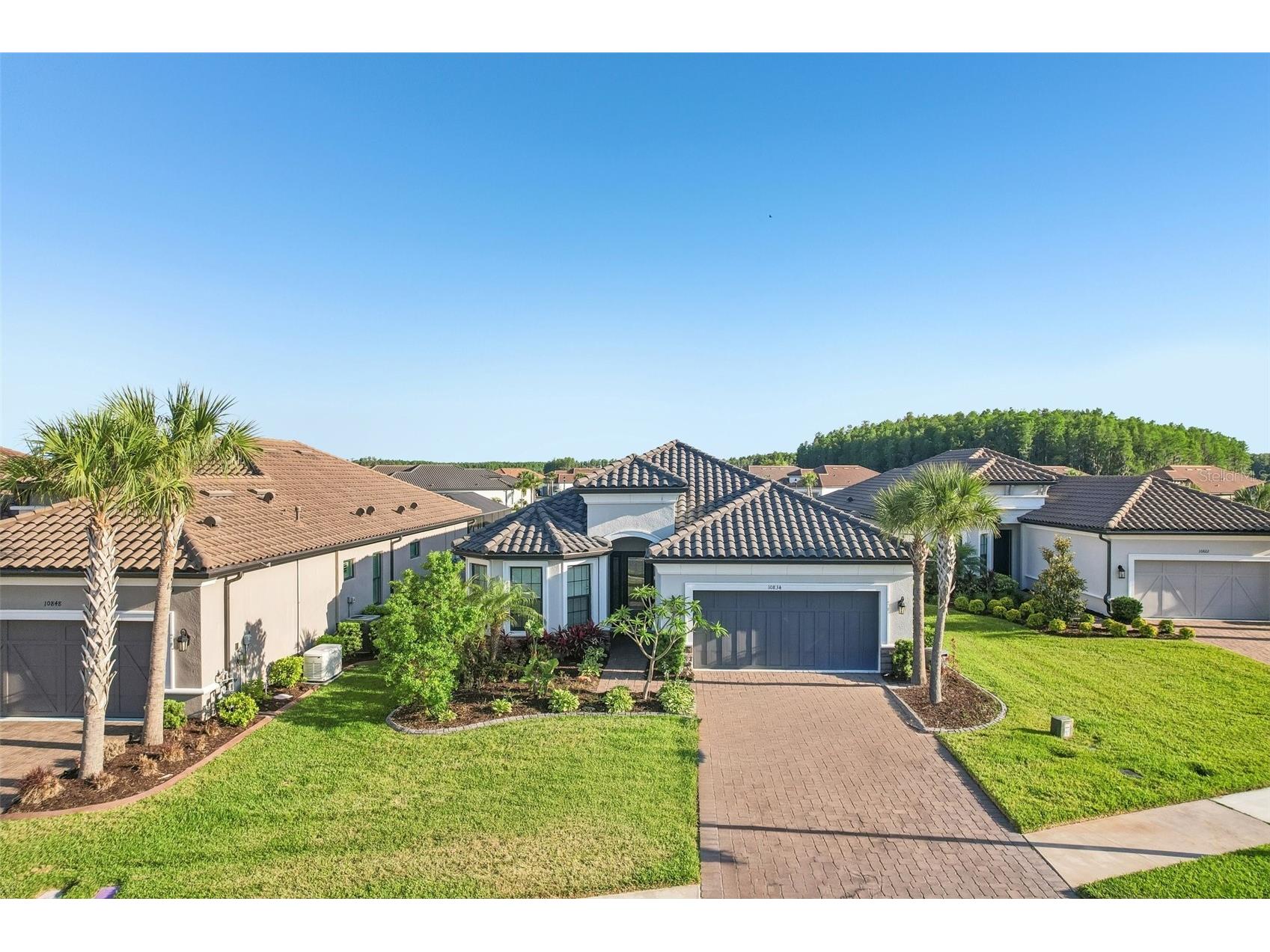 10834 Calluna Drive Odessa FL 33556 TB8502100 image3