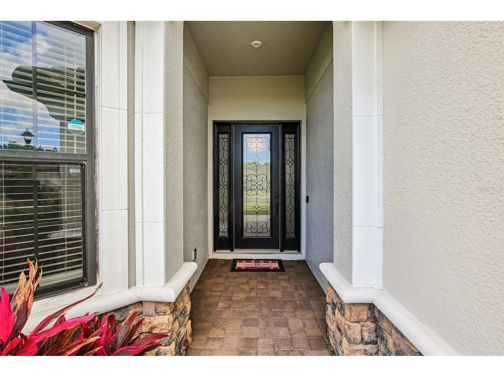 10834 Calluna Drive Odessa FL 33556 TB8502100 image4