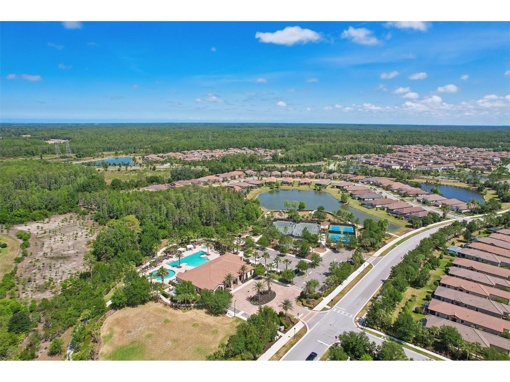 10834 Calluna Drive Odessa FL 33556 TB8502100 image41