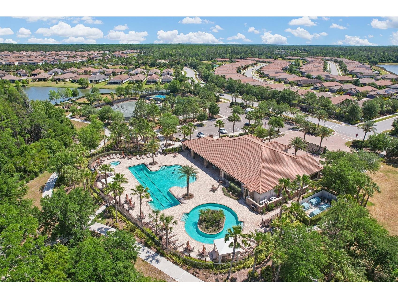 10834 Calluna Drive Odessa FL 33556 TB8502100 image45