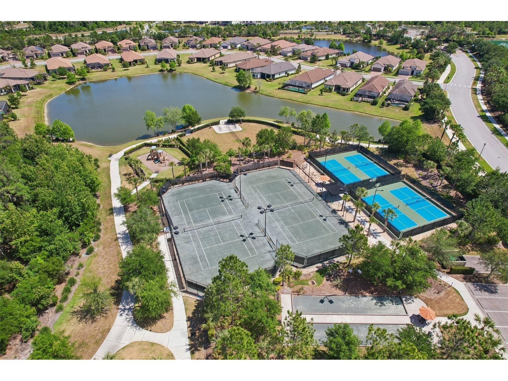 10834 Calluna Drive Odessa FL 33556 TB8502100 image47