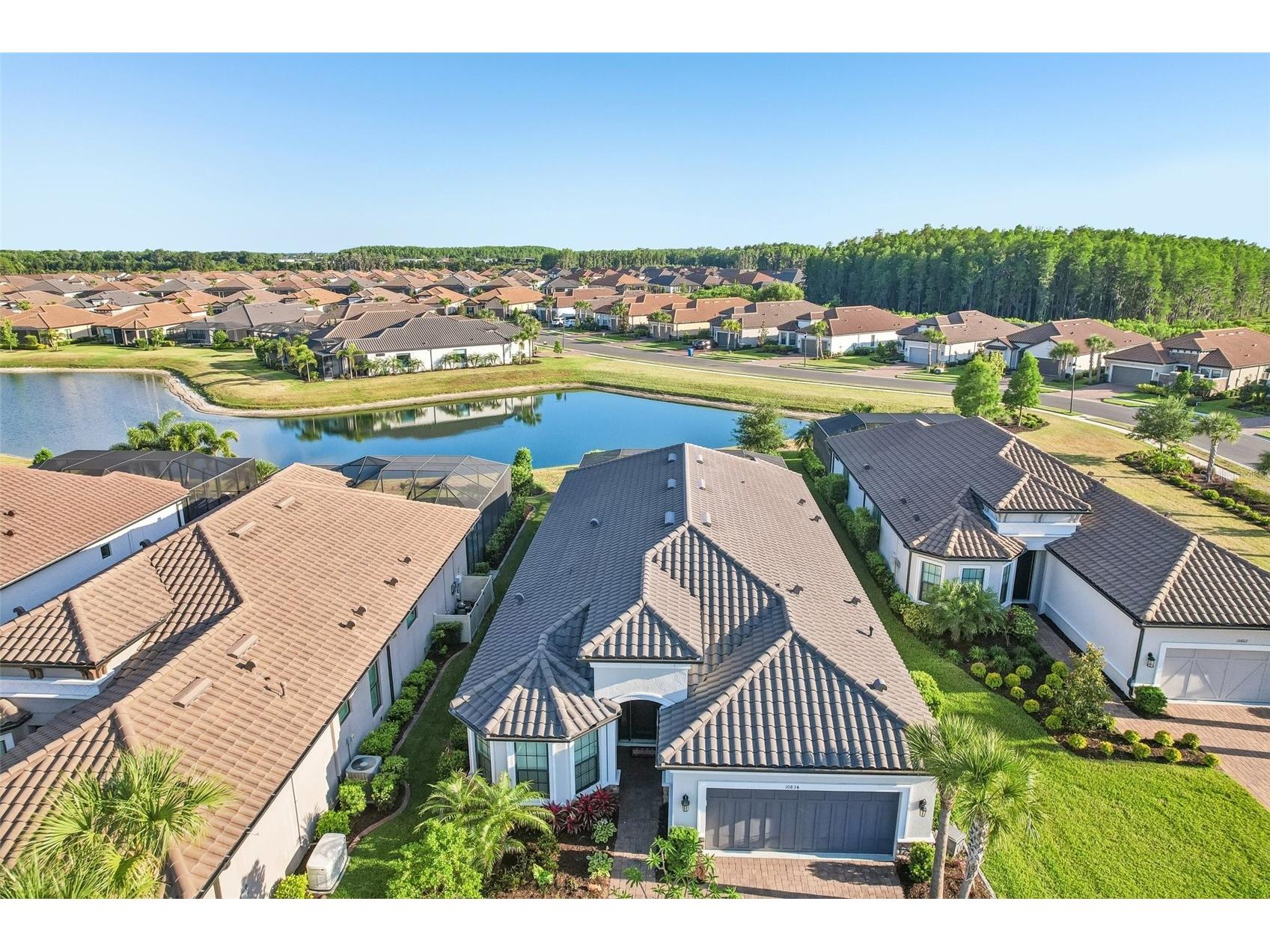 10834 Calluna Drive Odessa FL 33556 TB8502100 image49