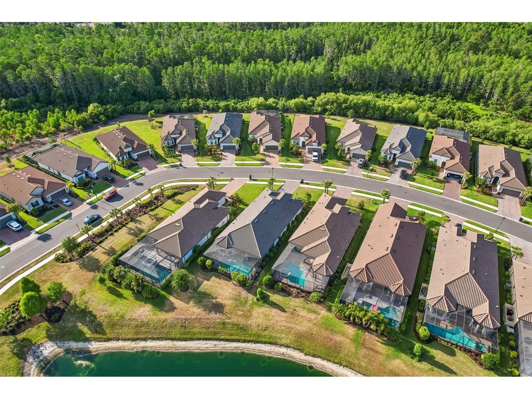 10834 Calluna Drive Odessa FL 33556 TB8502100 image50
