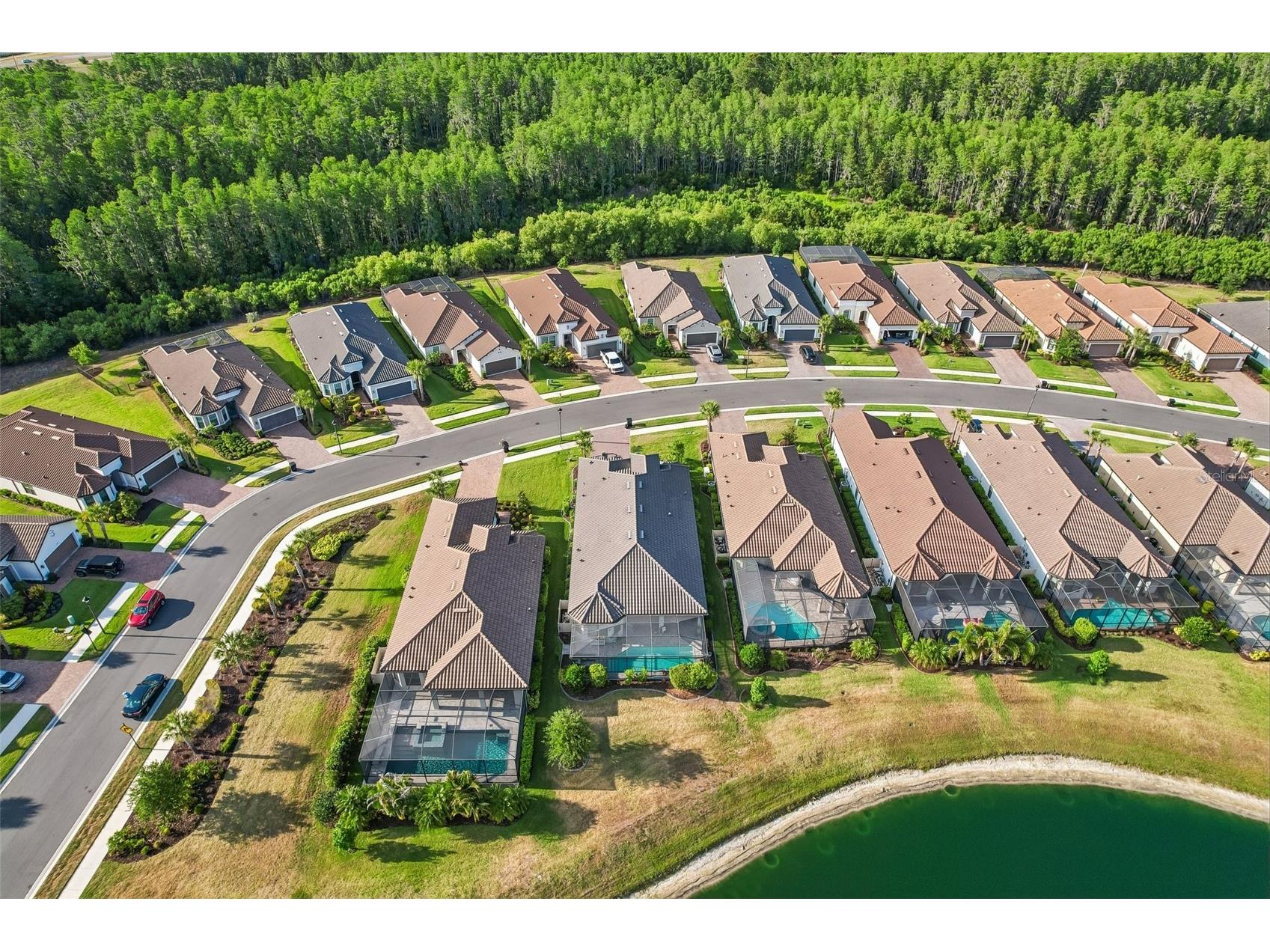 10834 Calluna Drive Odessa FL 33556 TB8502100 image51