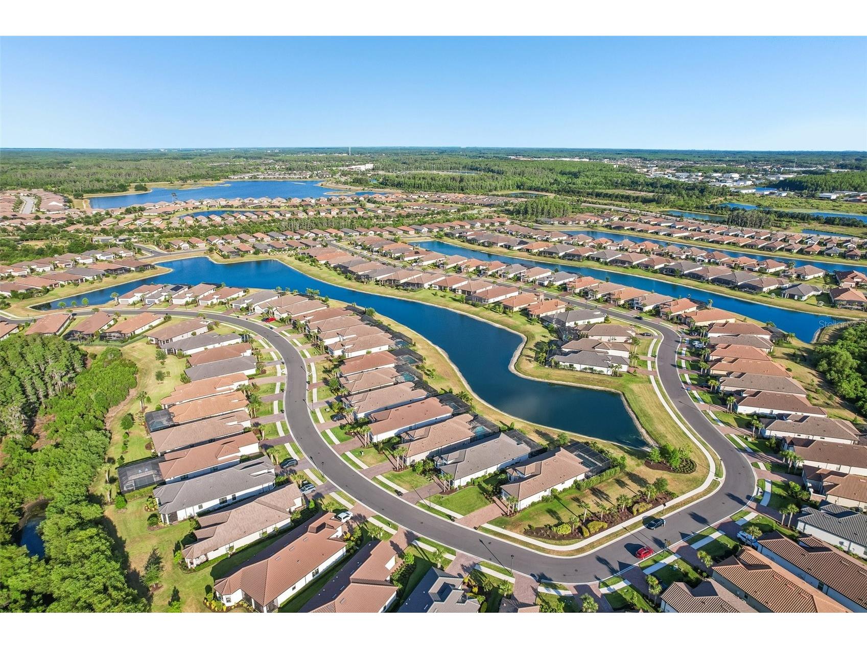 10834 Calluna Drive Odessa FL 33556 TB8502100 image53
