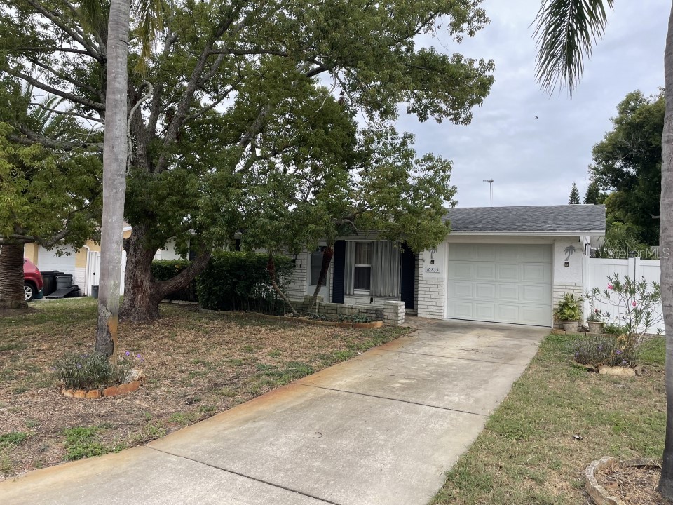 10835 Rexdale Avenue Port Richey FL 34668 O6149788 image1