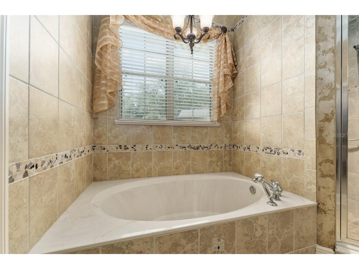 10835 SE Highway 464c Ocklawaha FL 32179 OM703982 image28