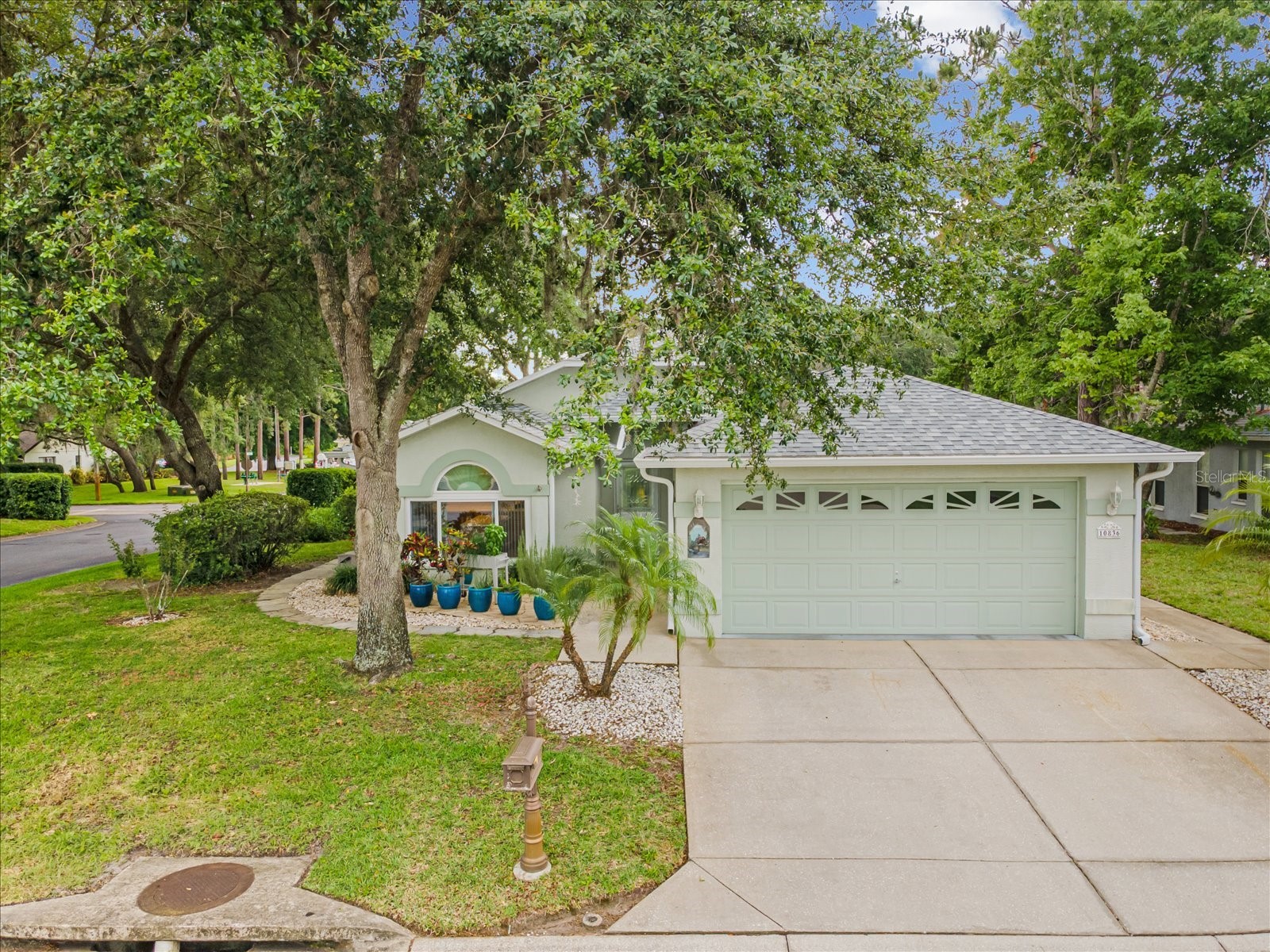 10836 Brookhaven Drive New Port Richey FL 34654 W7885724 image1
