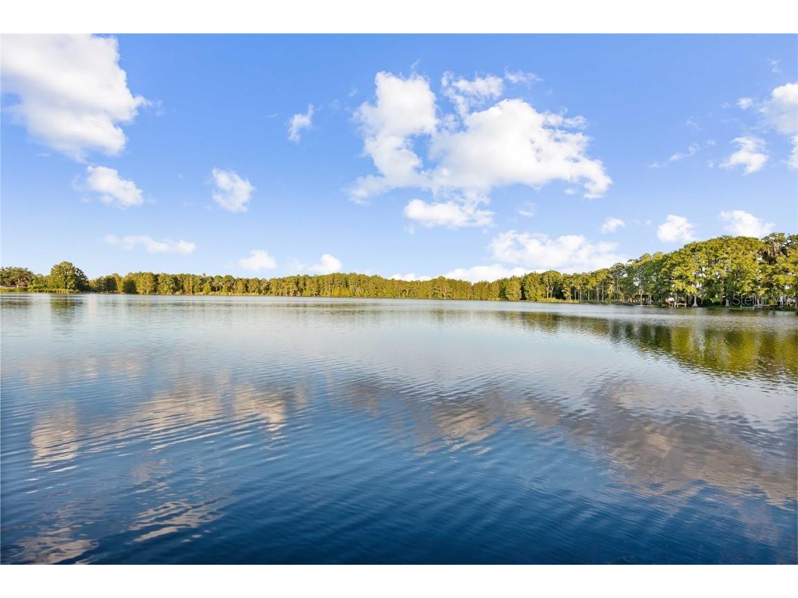 10836 Land O Lakes Boulevard Land O Lakes FL 34638 - Green Lake TB8431659 image51