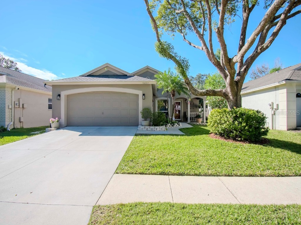 10837 Peppersong Drive Riverview FL 33578 T3499324 image1