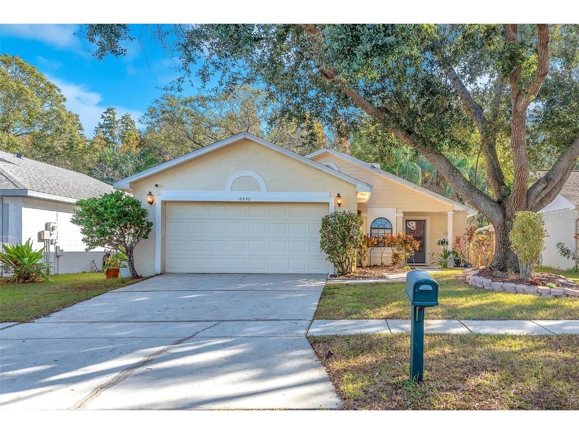 10838 Peppersong Drive Riverview FL 33578 TB8451340 image1