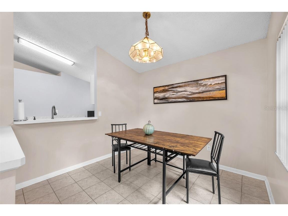 10838 Peppersong Drive Riverview FL 33578 TB8451340 image12