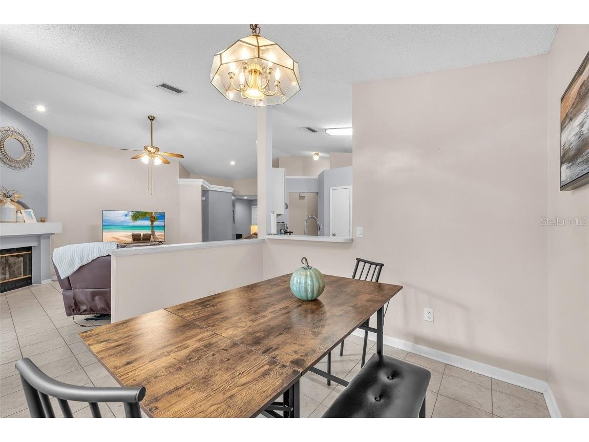 10838 Peppersong Drive Riverview FL 33578 TB8451340 image13