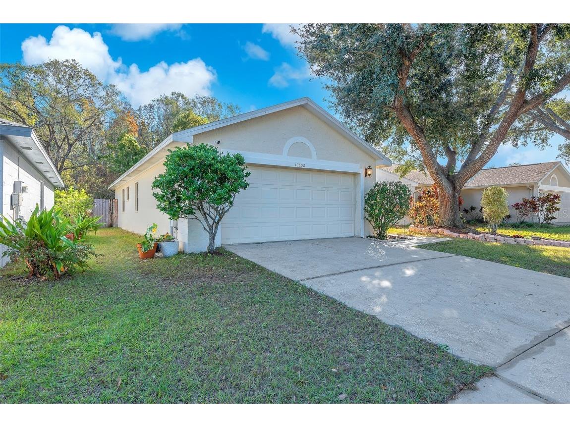 10838 Peppersong Drive Riverview FL 33578 TB8451340 image2