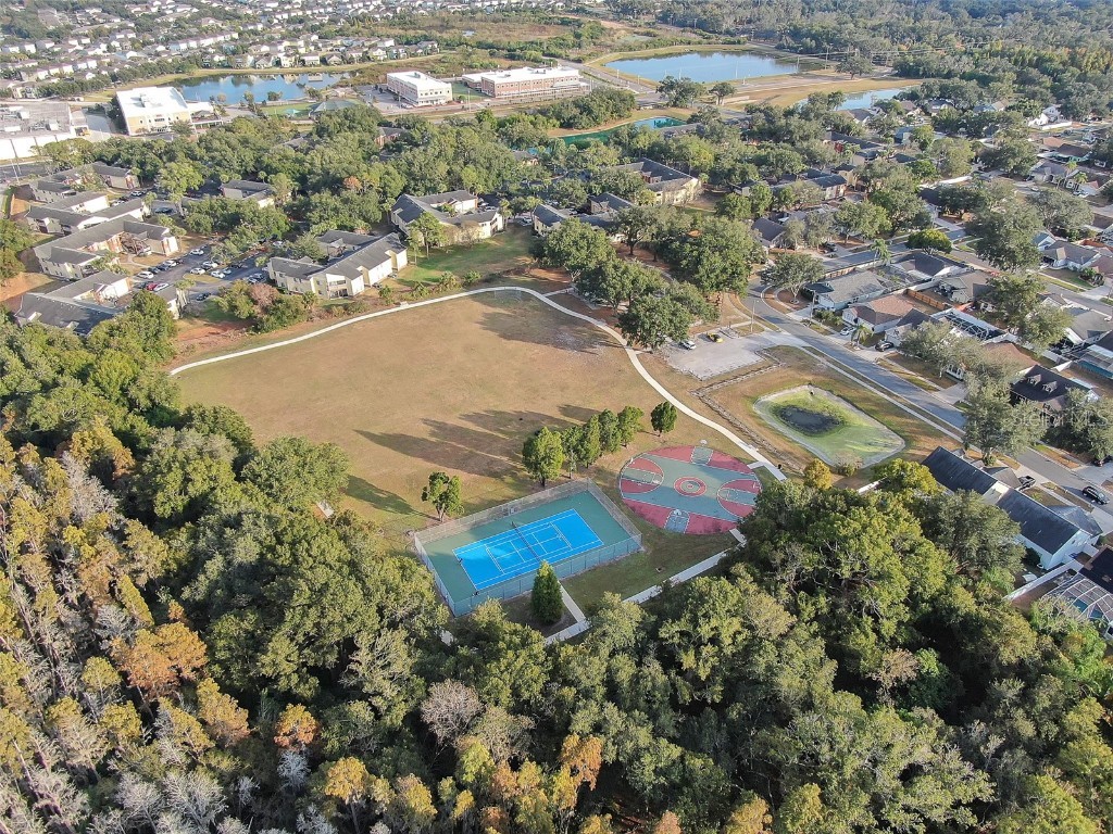 10838 Peppersong Drive Riverview FL 33578 TB8451340 image24