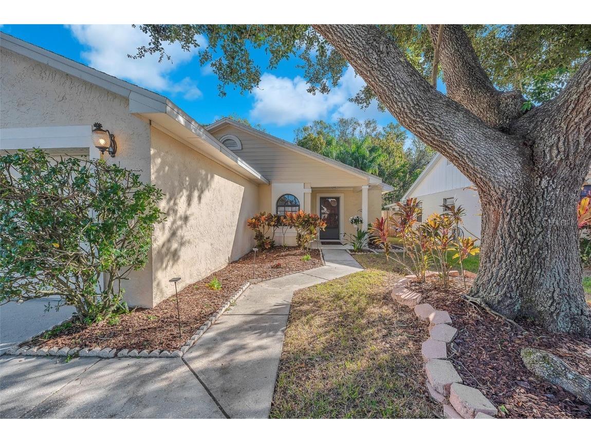 10838 Peppersong Drive Riverview FL 33578 TB8451340 image3