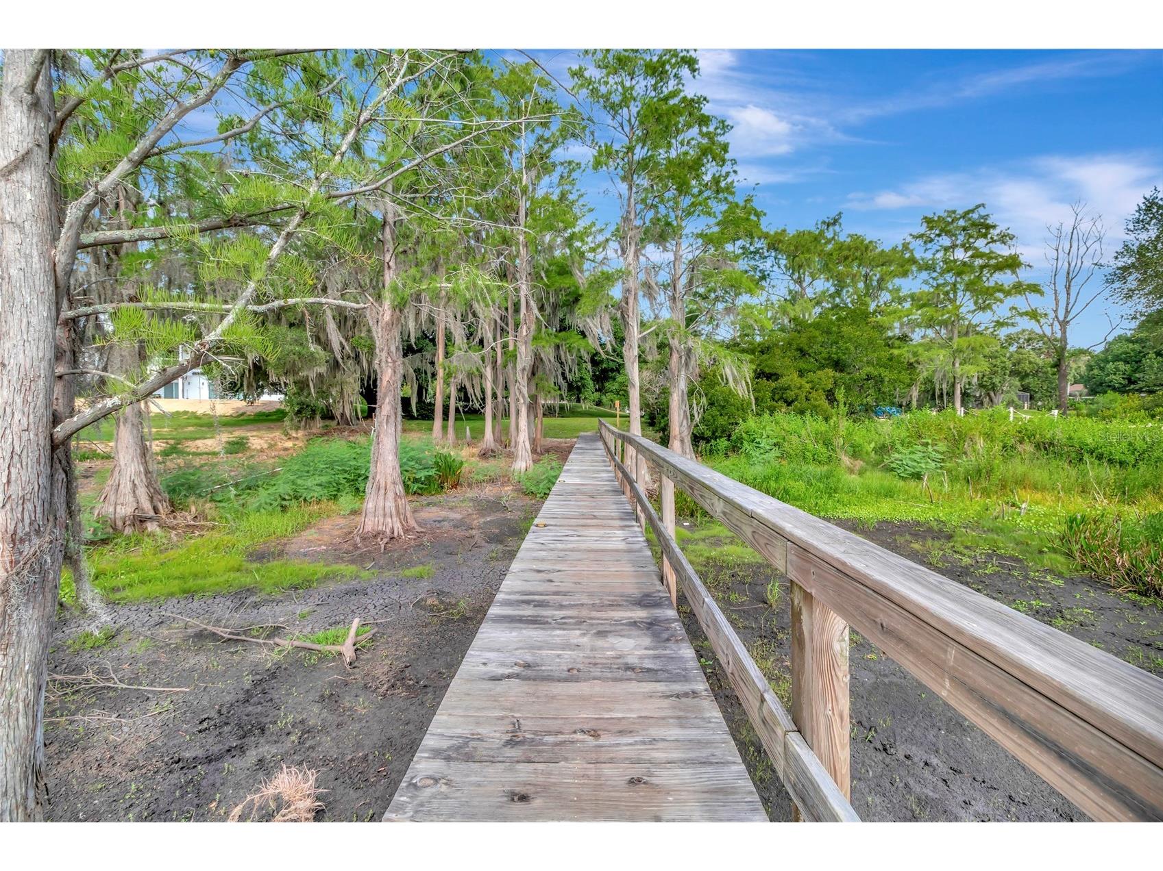 10838 Priebe Road Clermont FL 34711 - LAKE CRESCENT G5112547 image50