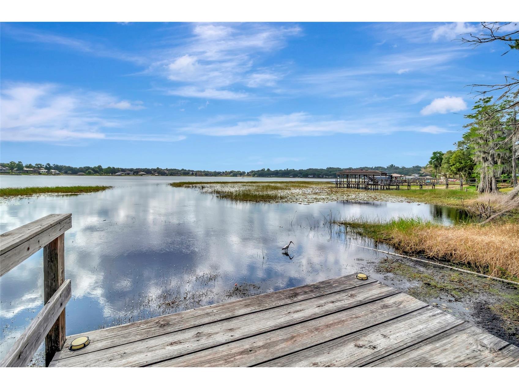 10838 Priebe Road Clermont FL 34711 - LAKE CRESCENT G5112547 image51