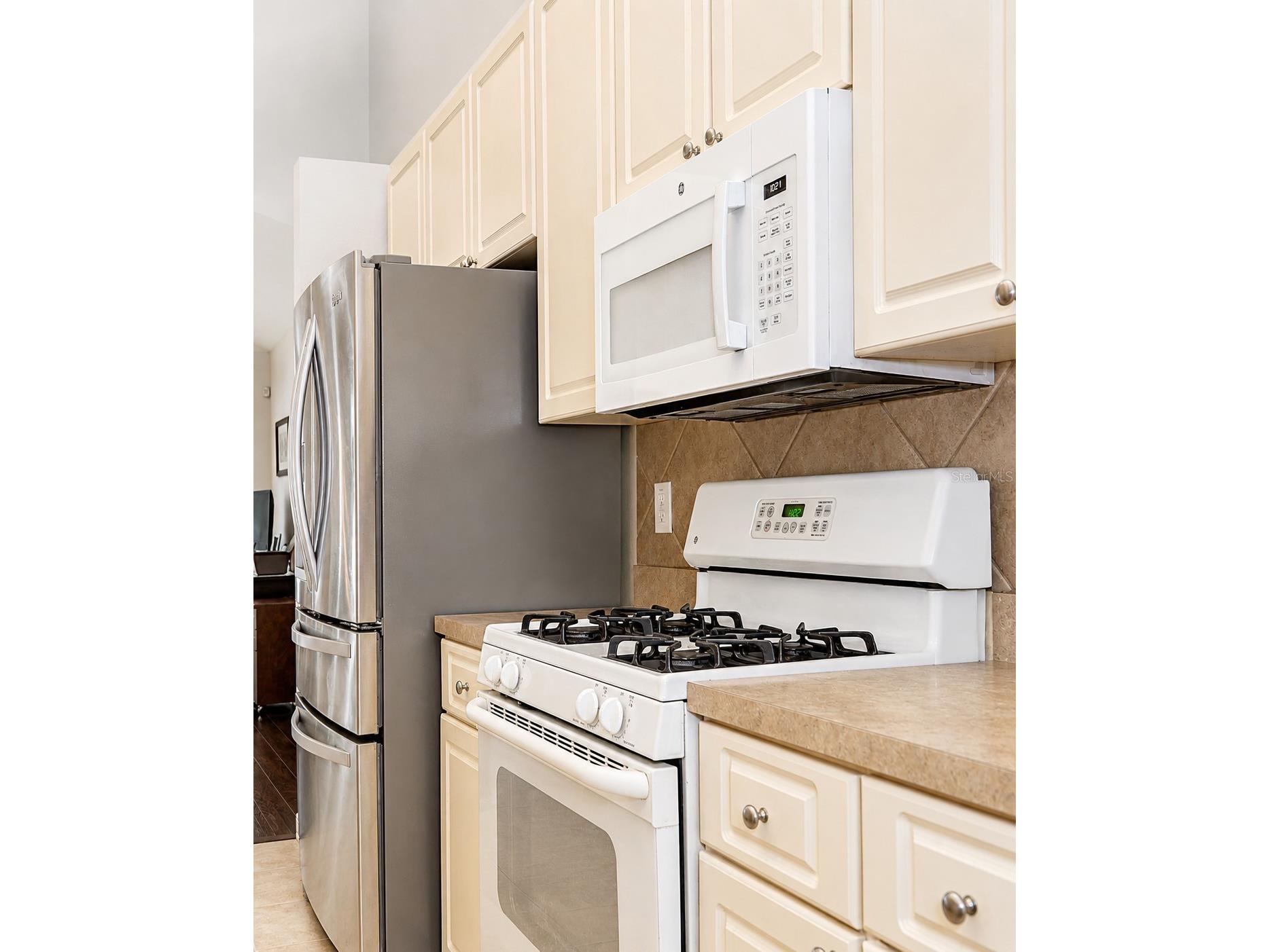 10839 Newbridge Drive Riverview FL 33579 TB8524493 image8