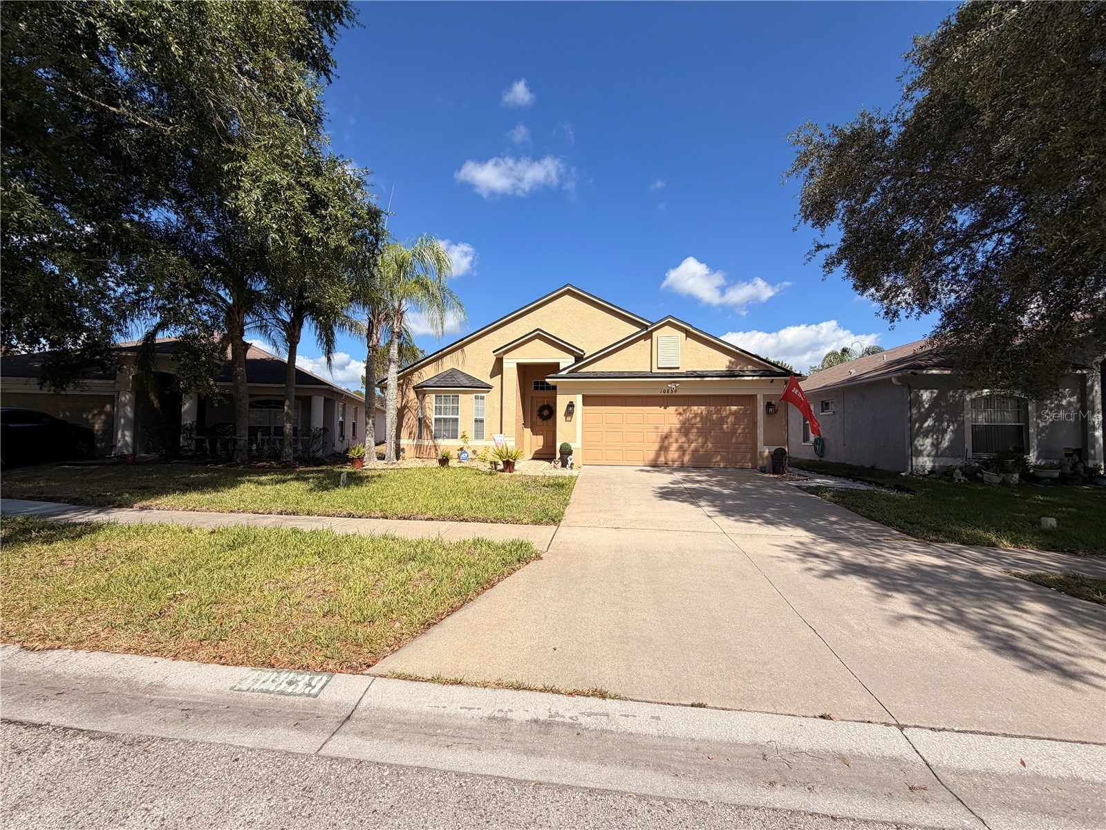 10839 Wild Cotton Court Land O Lakes FL 34638 TB8522519 image4