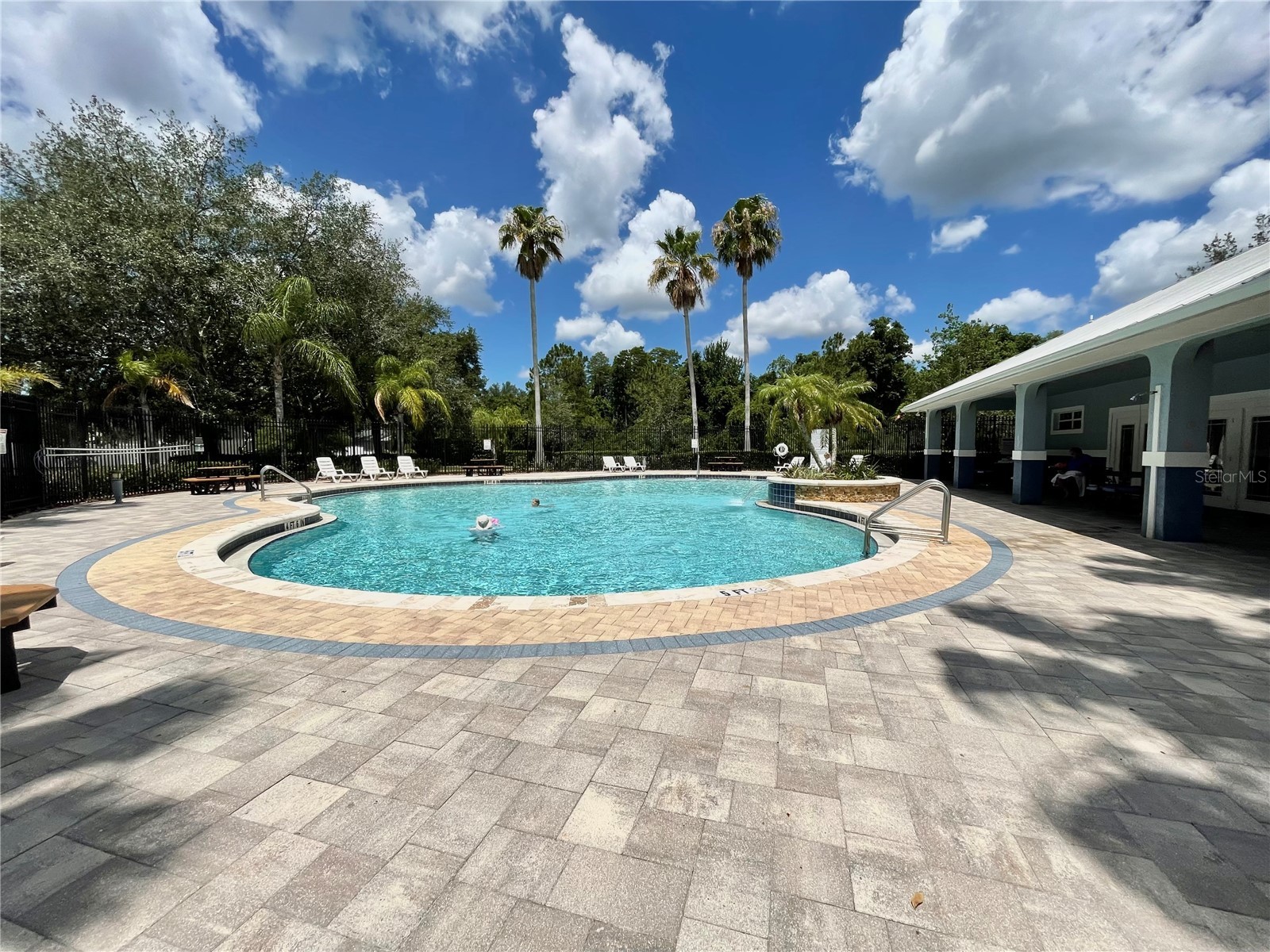 10839 Wild Cotton Court Land O Lakes FL 34638 TB8522519 image43