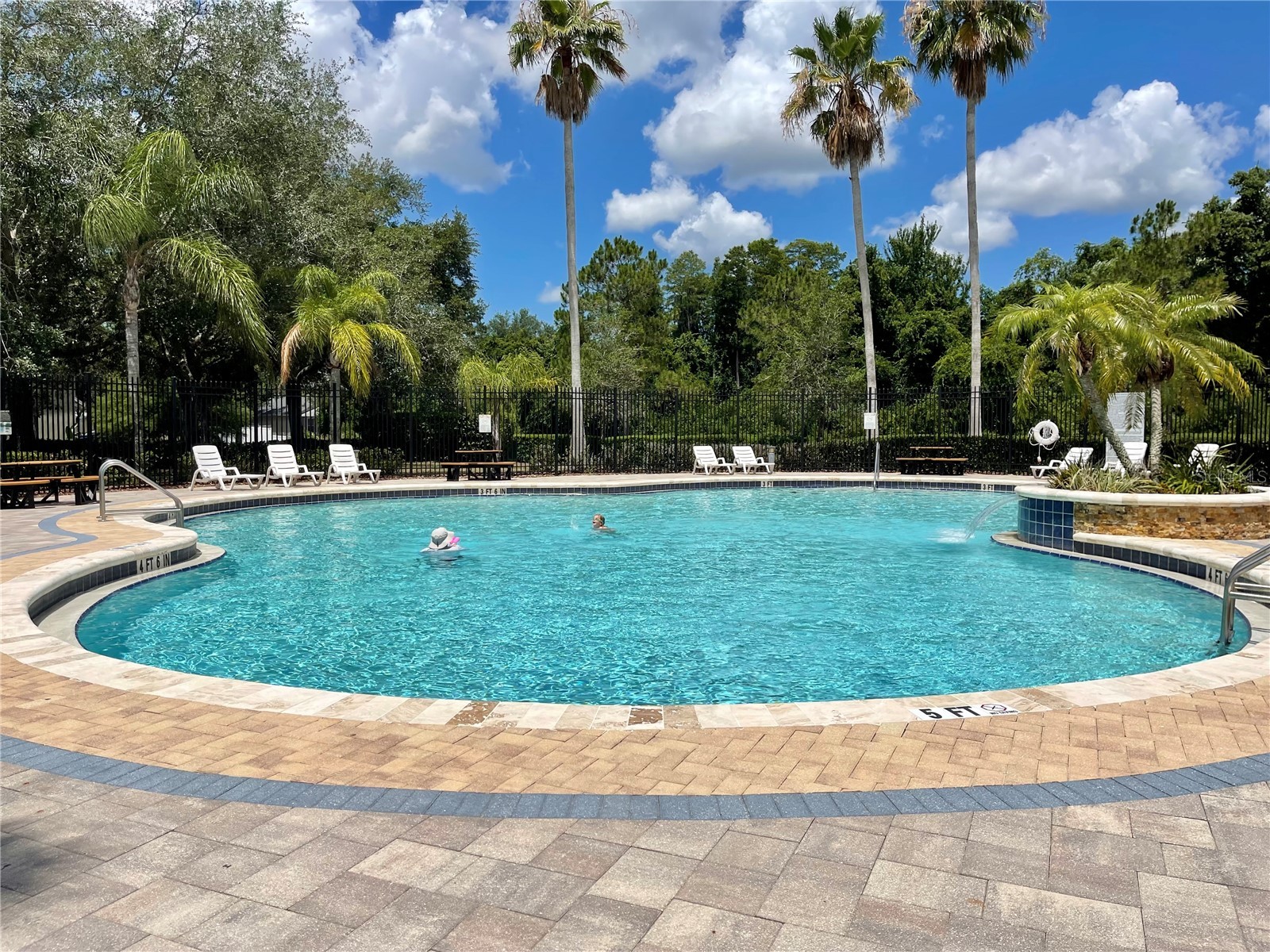 10839 Wild Cotton Court Land O Lakes FL 34638 TB8522519 image44