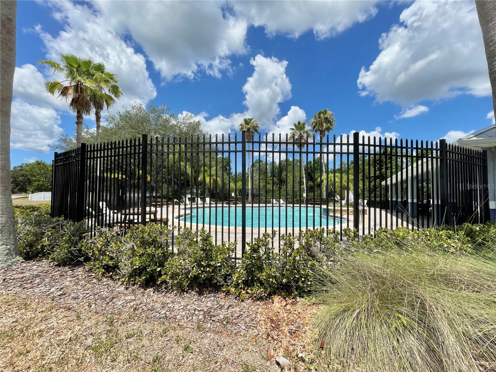 10839 Wild Cotton Court Land O Lakes FL 34638 TB8522519 image45