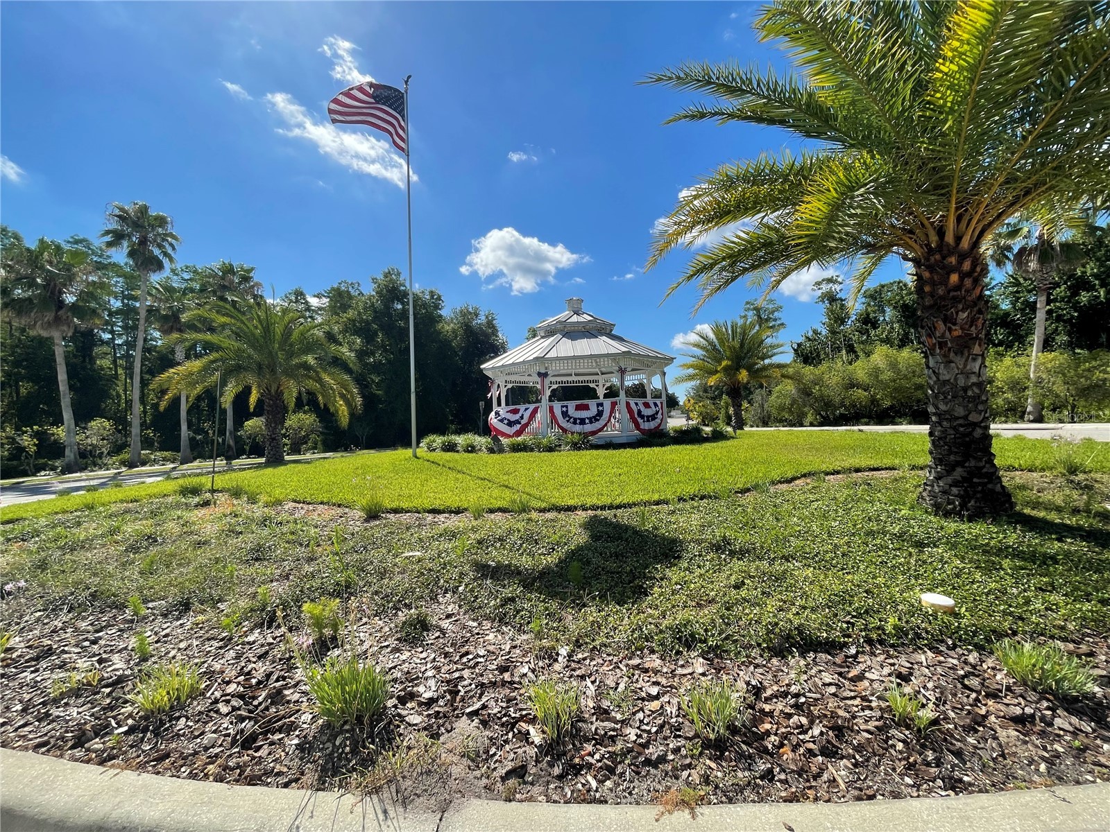10839 Wild Cotton Court Land O Lakes FL 34638 TB8522519 image47