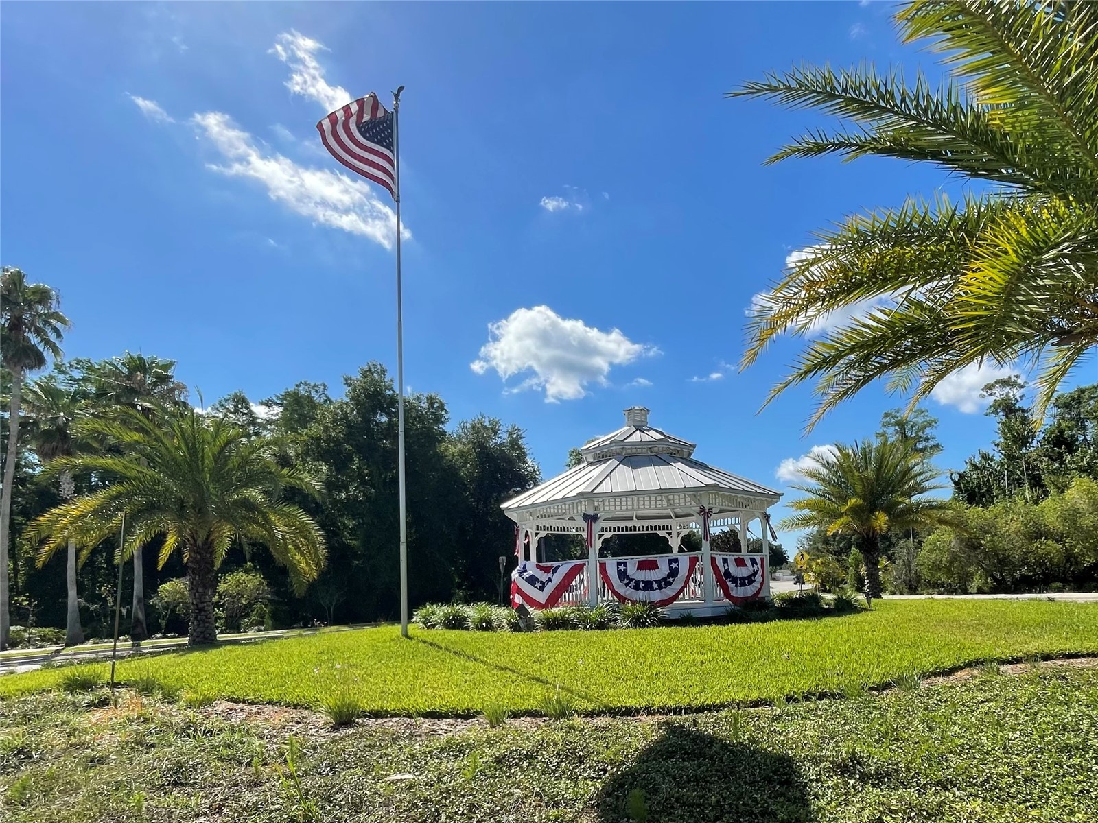 10839 Wild Cotton Court Land O Lakes FL 34638 TB8522519 image48