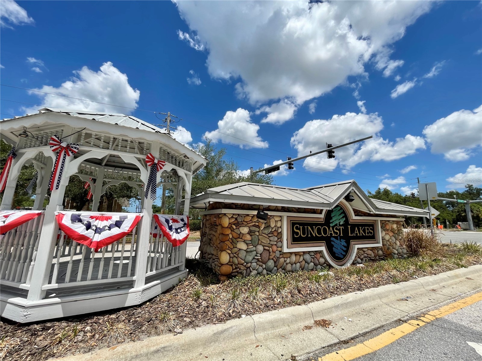 10839 Wild Cotton Court Land O Lakes FL 34638 TB8522519 image49